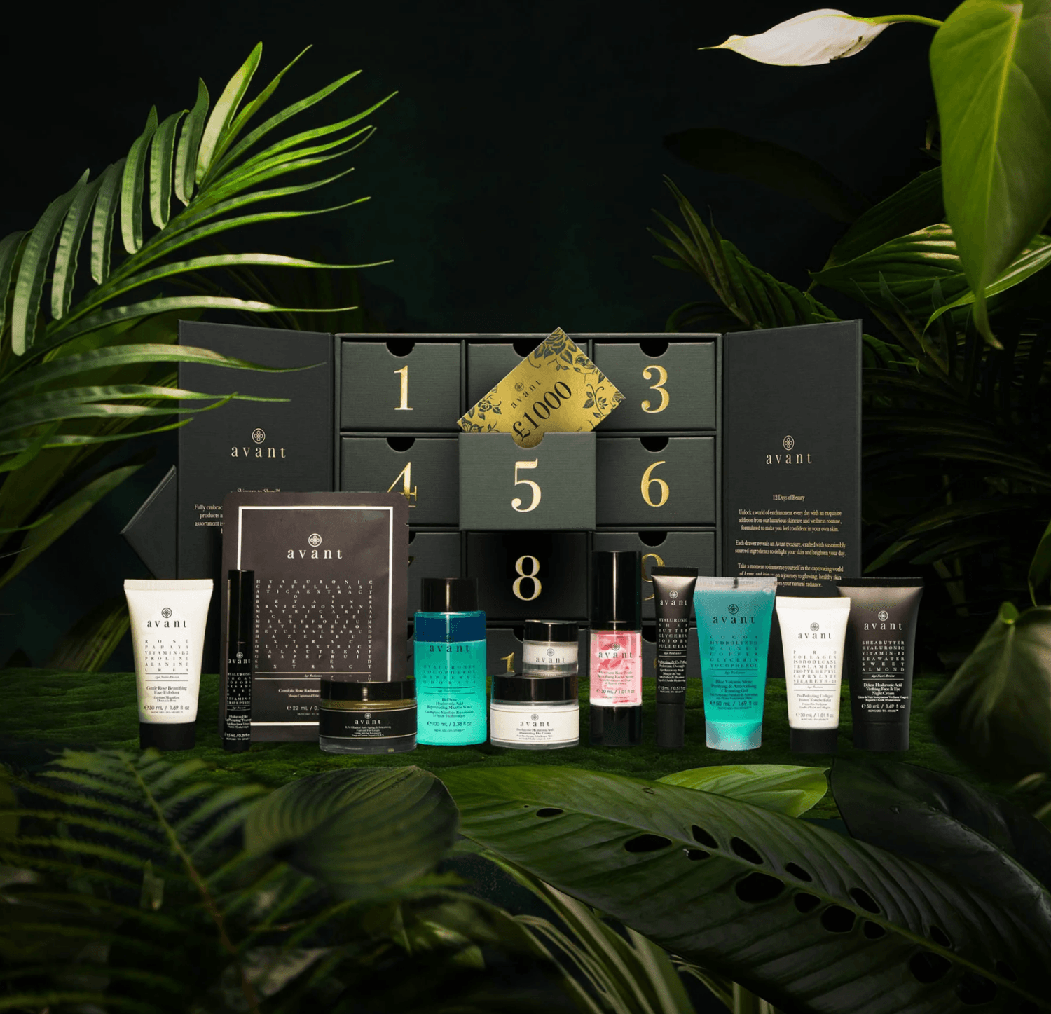 Avant Wonders Advent Calendar 2025